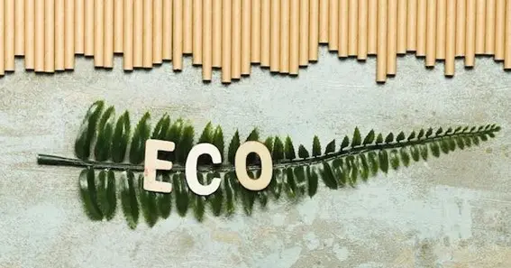 Eco-Friendly Living: Practical Tips for a Sustainable Lifestyle